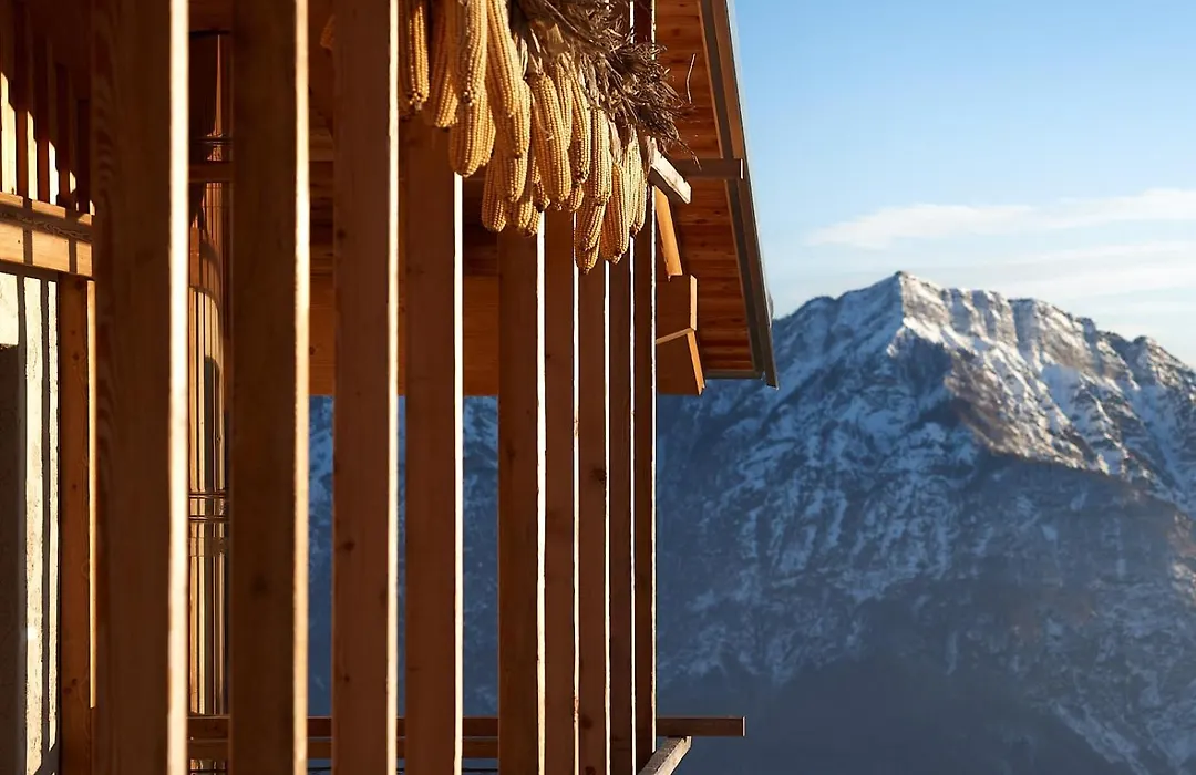 Nif: Alpine Taste-1